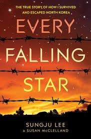 Every Falling Star by Sungju Lee