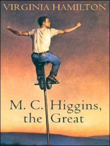 M.C. Higgins, the Great by Virginia Hamilton