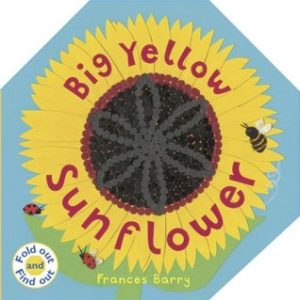 Big Yellow Sunflower by Frances Barry